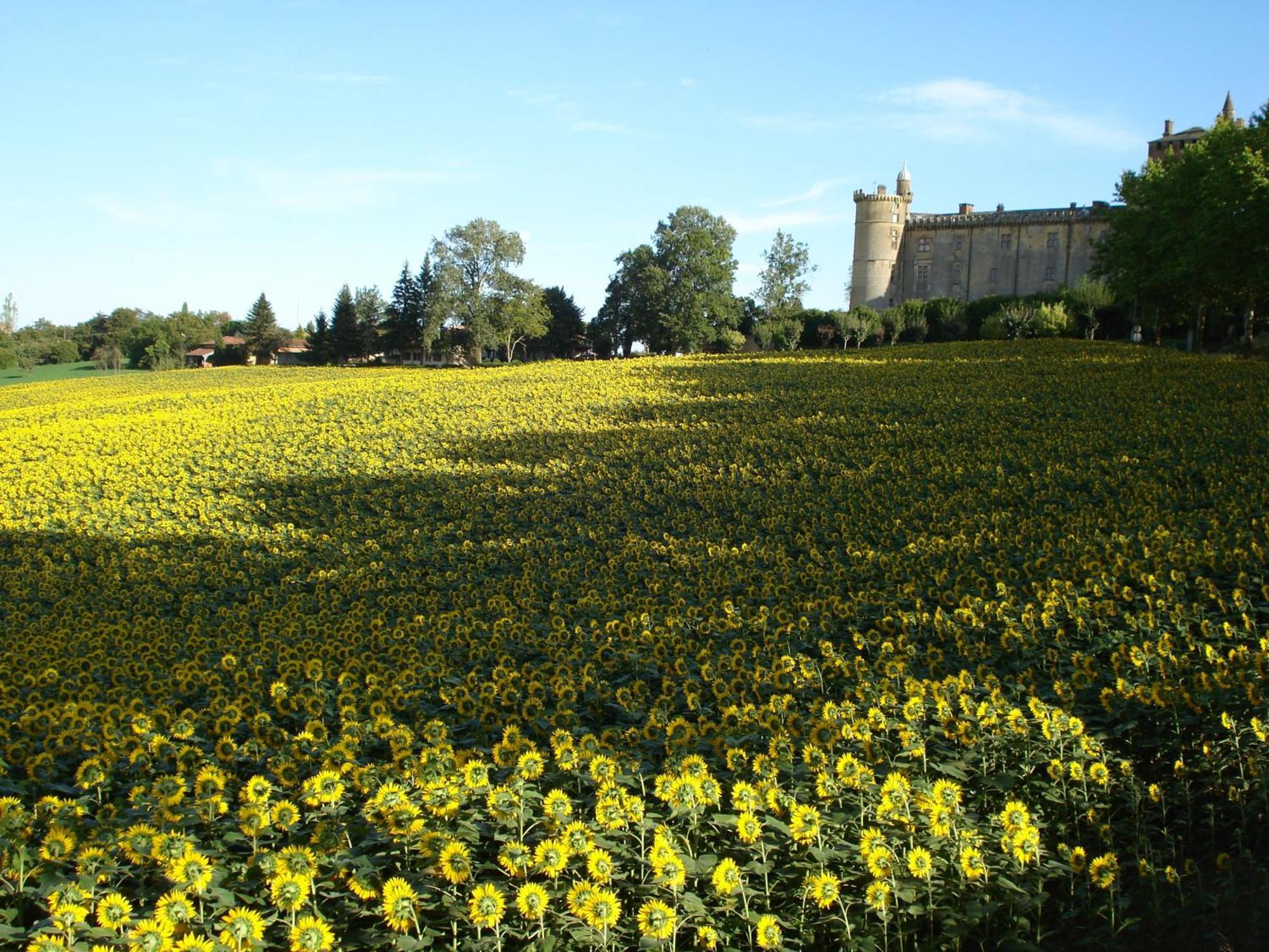 Relais Du Chateau Hotell Saint-Blancard Eksteriør bilde